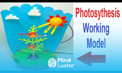 photosysthesis working model 3d making diy inspire science project easy and simple howtofunda