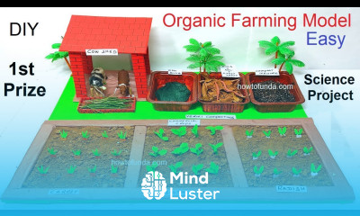 organic farming eco friendly agriculture model inspire award science project diy howtofunda