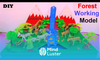 forest working model for science project exhibition DIY at home howtofunda