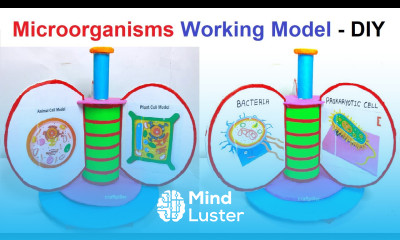 microorganisms working model diy simple and easy craftpiller howtofunda