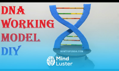 dna working model 3d making for science project DIY at home easily simple dc motor howtofunda