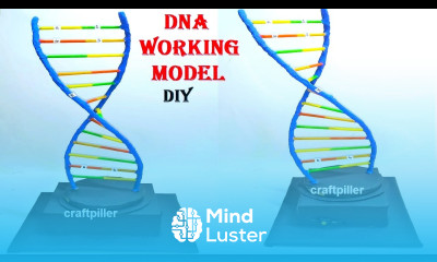 dna working model 3d science project DIY craftpiller howtofunda