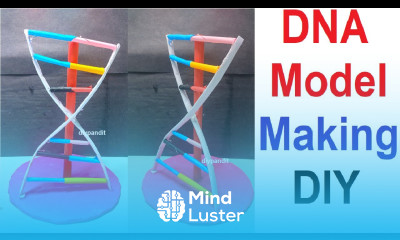 dna model making using cardboard and paper simple and easy science project for exhibition