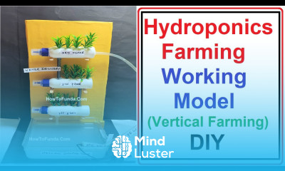 hydroponics farming agriculture working model vertical inspire science project howtofunda