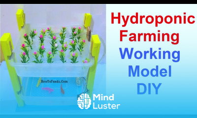 hydroponic farming working model science project vertical agriculture howtofunda