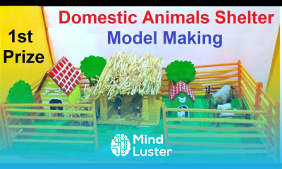 domestic animals shelter model making using cardboard and waste materials diy howtofunda