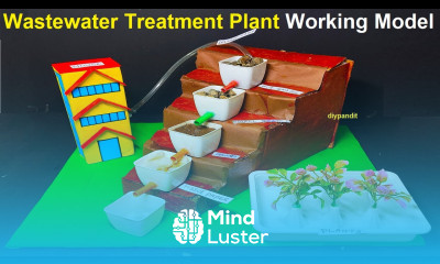 wastewater treatment plant working model diy simple and easy steps DIY pandit