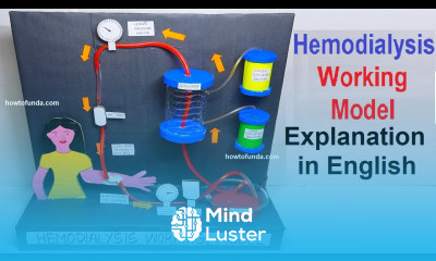 hemodialysis working model explanation in english biology project howtofunda