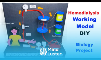 hemodialysis working model biology project diy step by step howtofunda