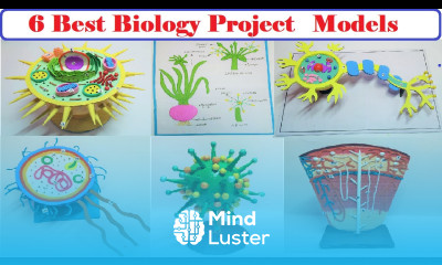 6 best biology project models diy howtofunda still model science project ideas