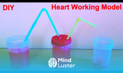 heart pump working model for science exhibition project DIY at home howtofunda