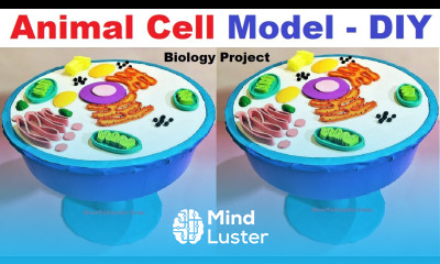 How to Make an Animal Cell Model 3D Science Project DIY howtofunda