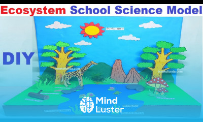 ecosystem school science model for exhibition diy simple and easy howtofunda