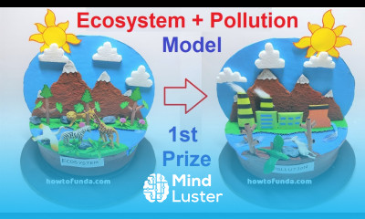 ecosystem and pollution model making for science project DIY at home howtofunda still model