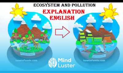 ecosystem and pollution science project explanation in english howtofunda