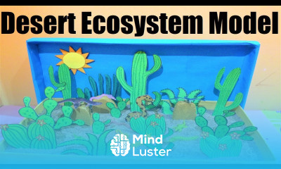 desert ecosystem project model science project howtofunda desert diorama craft ideas making