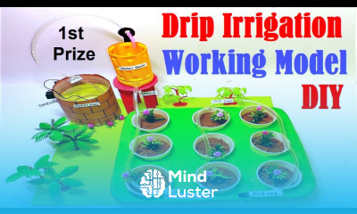 drip irrigation working model 3d science project DIY using paper cup and cardboard howtofunda