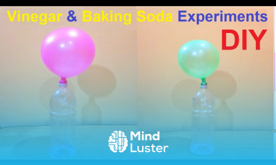 vinegar and baking soda science experiments diy science project howtofunda