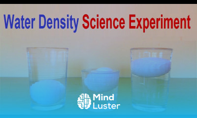 Water Density Science Experiment using Eggs Salt Water DIY howtofunda