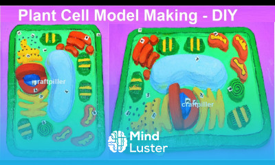 plant cell 3d model making using cardboard new design diy craftpiller howtofunda