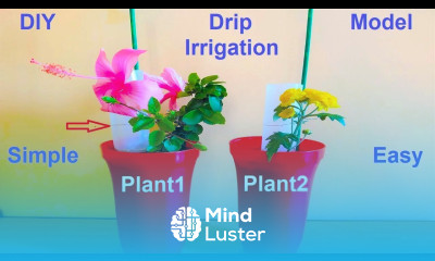 Drip Water Irrigation System Using Plastic Bottle Very Simple working model howtofunda