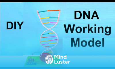 dna working model science project for science exhibition diy DIY Pandit using paper