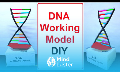 dna working model science project for exhibition diy simple and easy steps DIY pandit