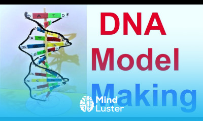 dna model making project 3d diy science project howtofunda biology project craftpiller