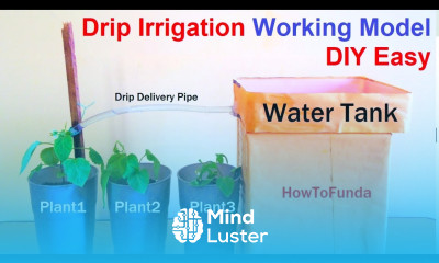 drip irrigation system working model using cardboard waste materials DIY HowtoFunda class 9