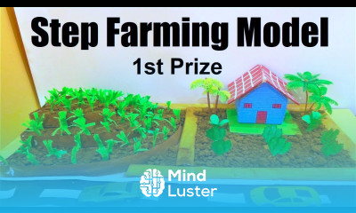 step farming model making project DIY science project howtofunda agriculture model