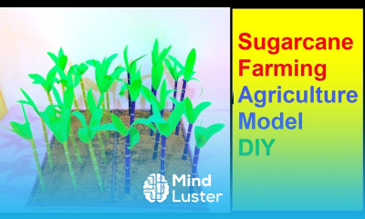 Sugarcane Farming Agriculture Model Making DIY howtofunda