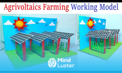 agrivoltaics farming system working model integrated agriculture model making diy howtofunda