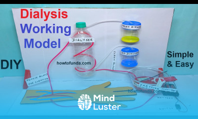 dialysis working model for science project exhibition diy simple and easy way craftpiller