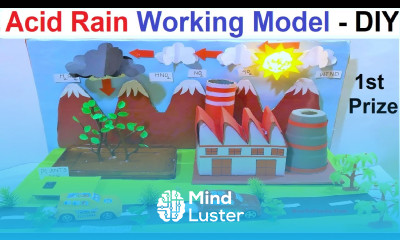 Acid rain working model 3d making DIY Inspire award Science Project howtofunda