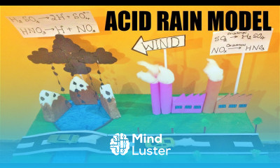 acid rain model 3d making using cardboard science project diy howtofunda