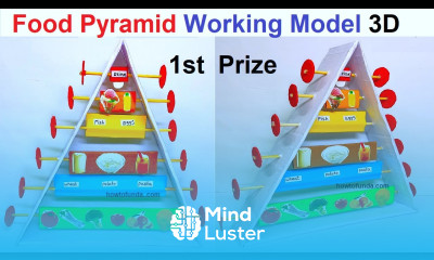 food pyramid working model 3d for class 9 and class 10th TLM howtofunda craftpiller