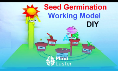 seed germination working model 3D inspire award science project diy howtofunda craftpiller
