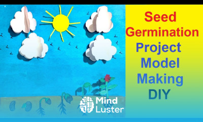 seed germination project model 3d making diy science model best out of waste howtofunda
