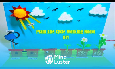 plant life cycle working model seed germination inspire award science project DIY howtofunda