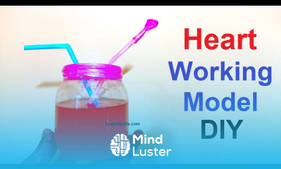 heart working model biology human simple using plastic bottle and balloon howtofunda