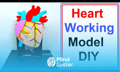 heart working model 3D inspire award science project diy craftpiller howtofunda