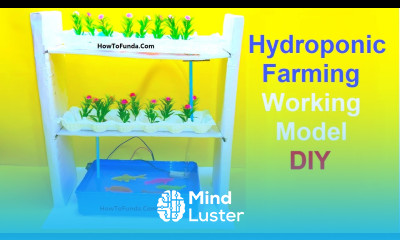 Aquaponics Farming Working Model Agriculture for Inspire Science Exhibition Project howtofunda