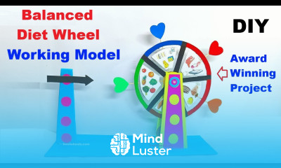 Balanced Diet Wheel Working Model Easy Creative Science Project for Exhibition HowToFunda