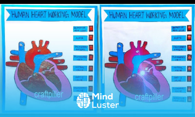 heart working model science project for exhibition with led lights diy simple craftpiller