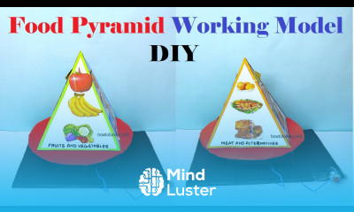 food pyramid working model science project for science exhibition diy simple howtofunda
