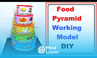 food pyramid working model for science project diy howtofunda still model