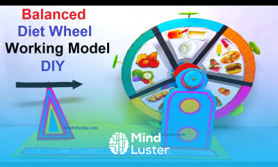 balanced diet working wheel model for healthy life science project howtofunda nutrition wheel