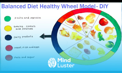 balanced diet working wheel model for healthy life science project howtofunda still model
