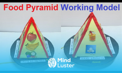 food pyramid working model science project exhibition biology project DIY pandit