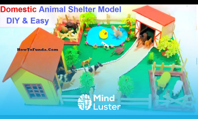 domestic animal shelter model making craft ideas DIY at home howtofunda still model
